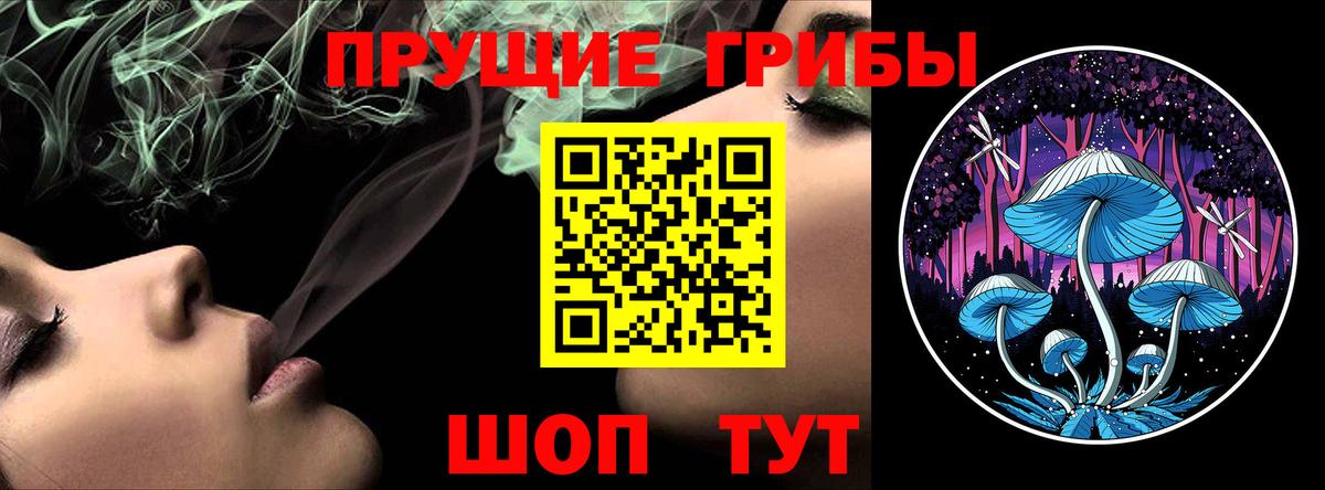Курчалой  Галлюциногенные грибы ЛСД  Вход с VPN  Галлюциногенные грибы Psilocybe 