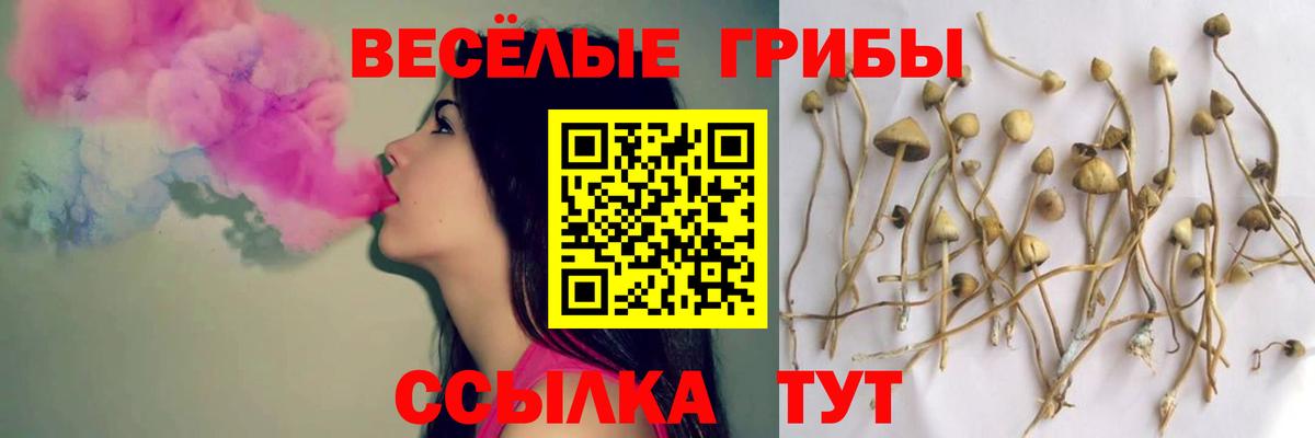 Псилоцибиновые грибы мухоморы Курчалой