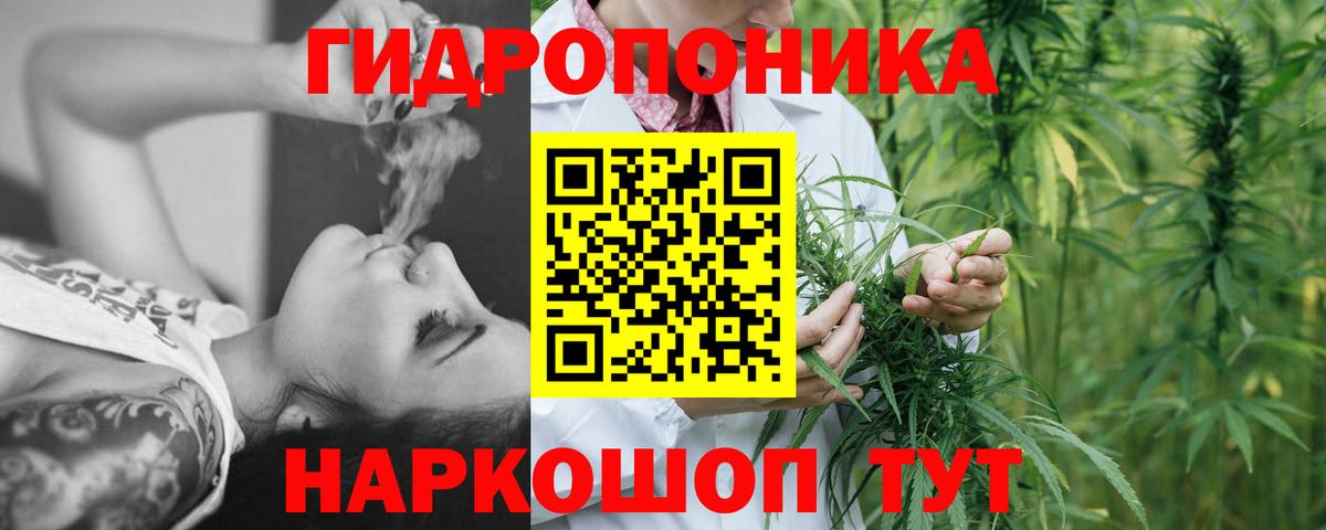 Марихуана ГИДРОПОН Курчалой