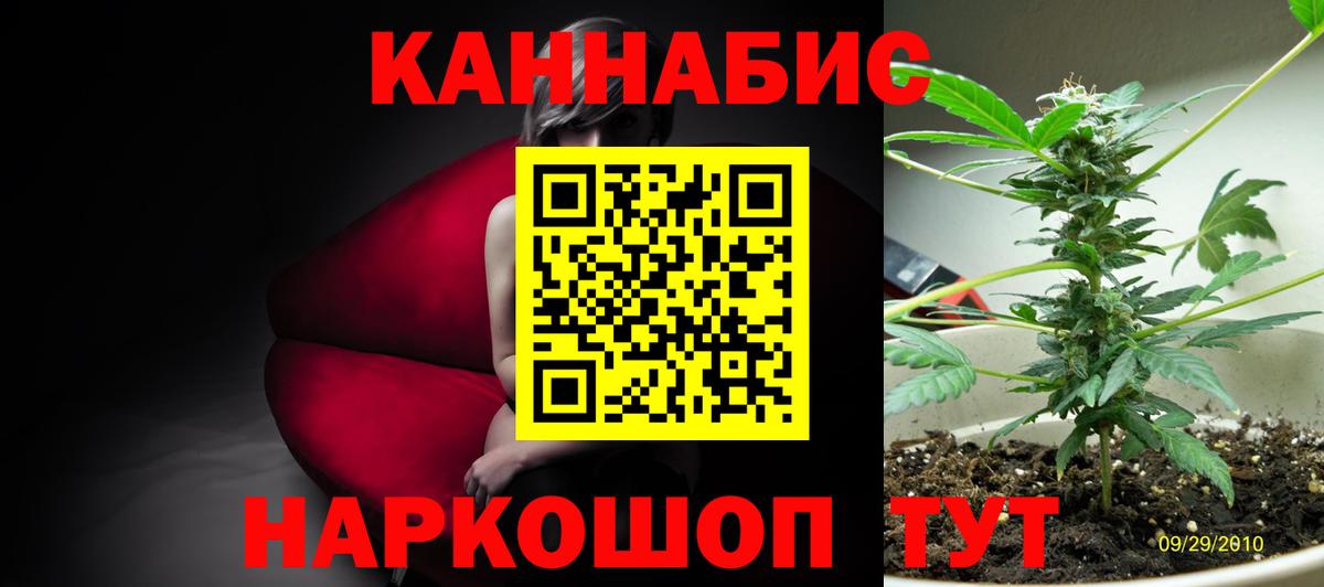 МАРИХУАНА Bruce Banner  Вход с VPN  Курчалой  Марихуана MAZAR  Марихуана конопля 